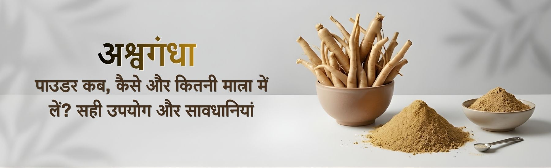 अश्वगंधा पाउडर कैसे लें