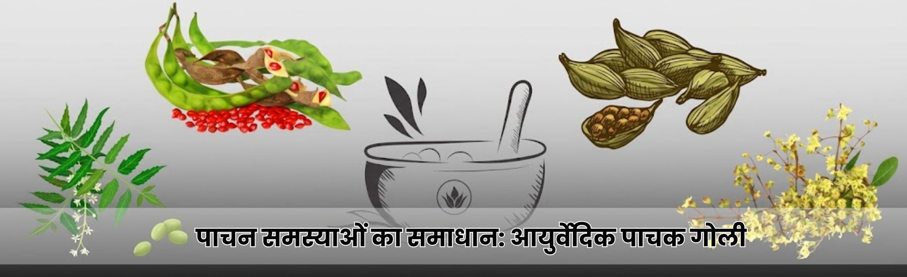 पाचन समस्याओं का समाधान