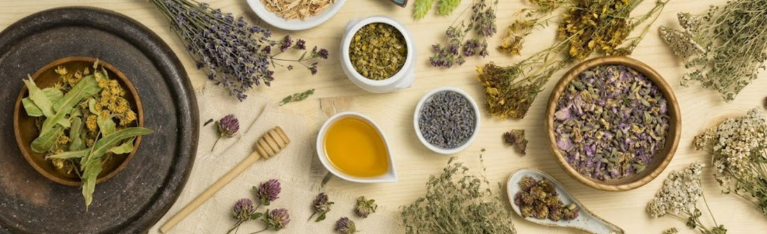 Ayurvedic Meds for Gastric Issues