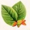 100% Natural Ingredients